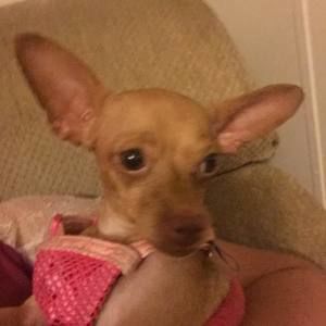 Meet your Posher, Steph